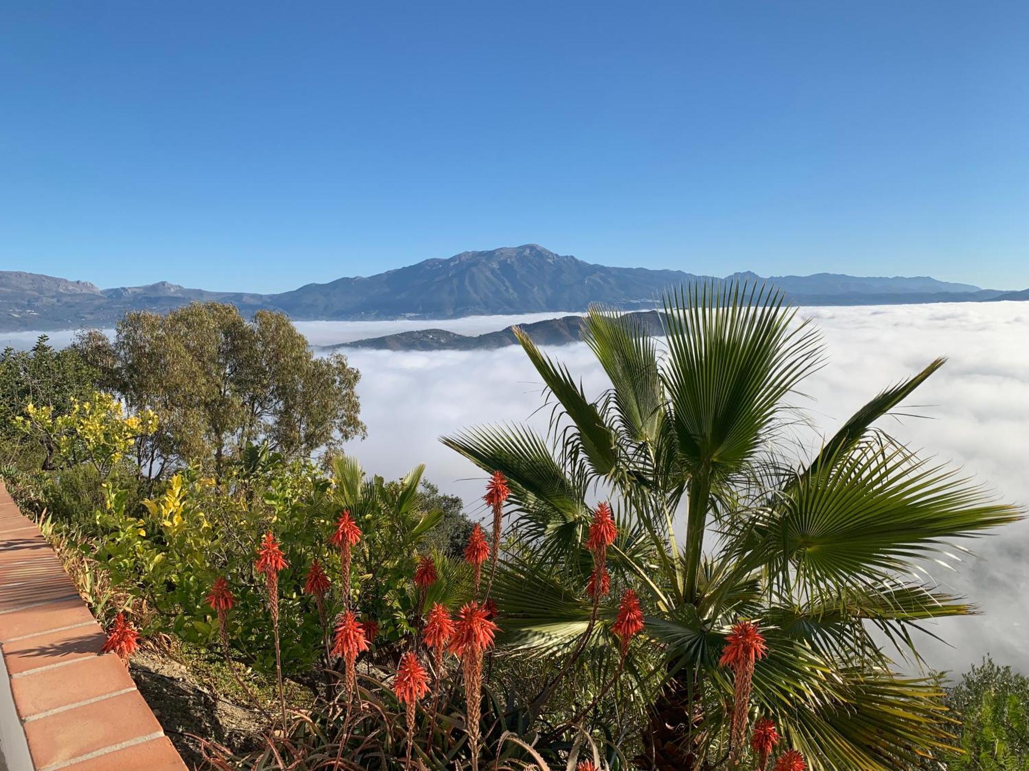 Volando In The Mountains Of Malaga Holiday home